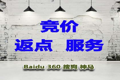 SEM优化技巧：实战案例深度剖析